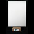 PAL Melaminat Falco Satin 351 FS08 (7045 SU)