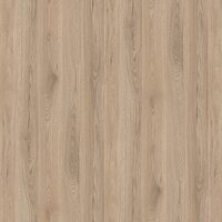 PAL Melaminat Fundermax Columbus Ash 0600 NA
