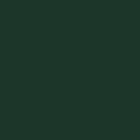 PAL Melaminat Egger Verde Brad U699 ST9