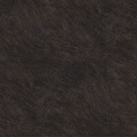 BLAT Ardezie Cupira F237 ST76