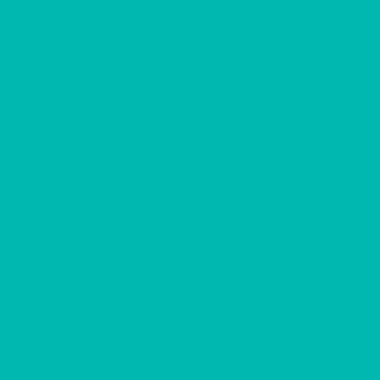 PAL Melaminat Fundermax Frosted Teal 0876 FH