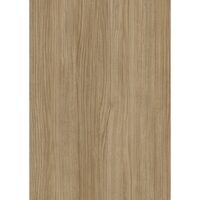 HPL COMPACT Fundermax Newport Oak 4073 FH, miez NEGRU