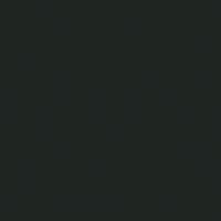 PAL Melaminat Kronospan Dark Forest K687 PD