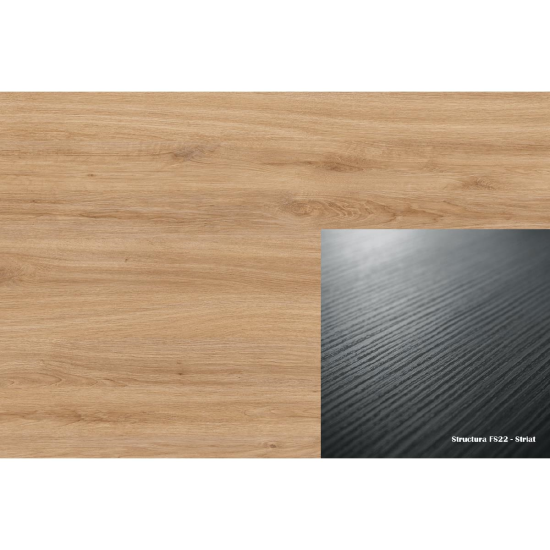 ABS 583 FS22