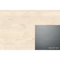ABS 616 FS08