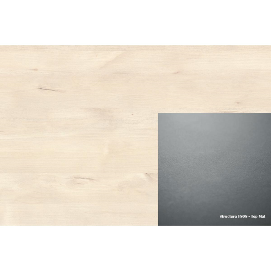 ABS 616 FS08