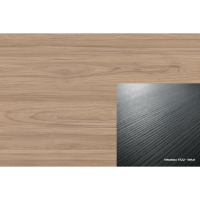 ABS 697 FS22