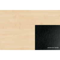 ABS 463 FS24