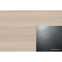 ABS 582 FS22