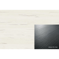 ABS 663 FS22