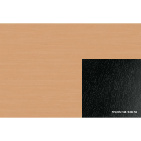 ABS 438 FS24