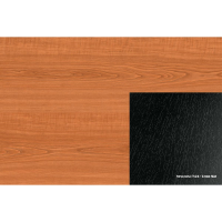 ABS 404 FS24