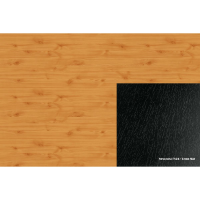 ABS 410 FS24