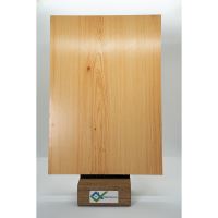 LICHIDARE STOC - PAL Melaminat Falco Pin Deschis 419 FS24