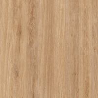 HPL Stejar Spaniol 583 FS22