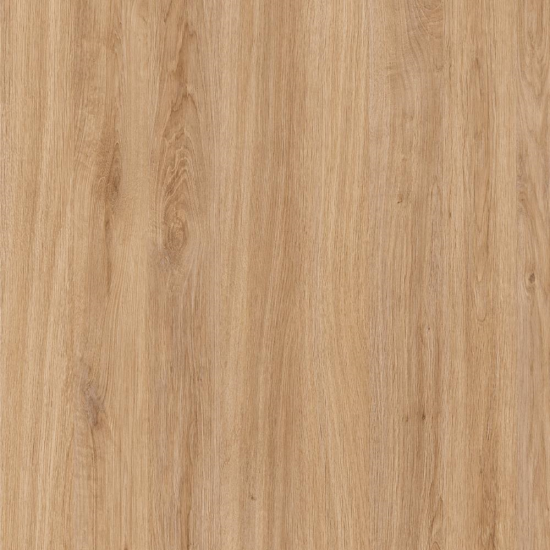 HPL Stejar Spaniol 583 FS22