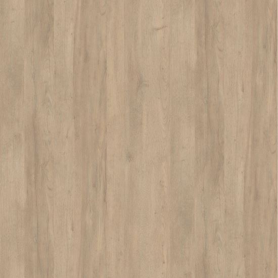 FINAL COLECTIE - BLAT Sand Pine R55073 SD