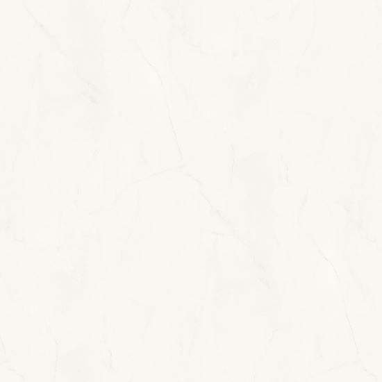 FINAL COLECTIE - BLAT India White S63045 MS